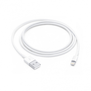 Apple Lightning to USB Cable (1 m)