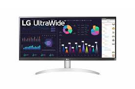 LG Monitor 29WQ600-W